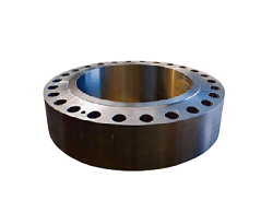 UNS N07718 Forging Facing Flange