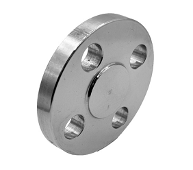 Stainless Steel 316 Blind Flange
