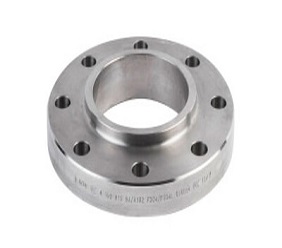 UNS S31600 Forged Flange