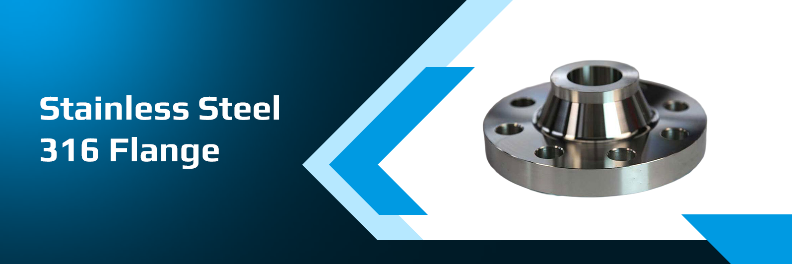 Stainless Steel 316 Flanges